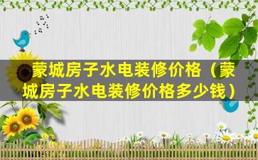 蒙城房子水电装修价格（蒙城房子水电装修价格多少钱）