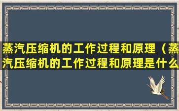 蒸汽压缩机的工作过程和原理（蒸汽压缩机的工作过程和原理是什么）