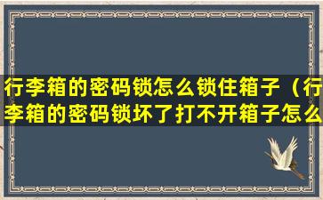 行李箱的密码锁怎么锁住箱子（行李箱的密码锁坏了打不开箱子怎么办）