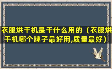 衣服烘干机是干什么用的（衣服烘干机哪个牌子最好用,质量最好）