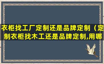 衣柜找工厂定制还是品牌定制（定制衣柜找木工还是品牌定制,用哪种板子）