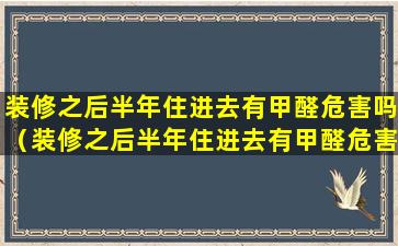 装修之后半年住进去有甲醛危害吗（装修之后半年住进去有甲醛危害吗视频）