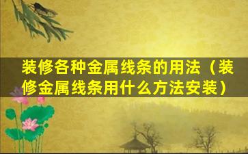 装修各种金属线条的用法（装修金属线条用什么方法安装）