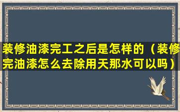 装修油漆完工之后是怎样的（装修完油漆怎么去除用天那水可以吗）