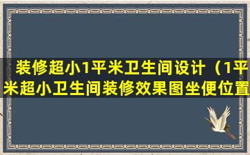 装修超小1平米卫生间设计（1平米超小卫生间装修效果图坐便位置打斜）