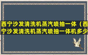 西宁沙发清洗机蒸汽喷抽一体（西宁沙发清洗机蒸汽喷抽一体机多少钱）