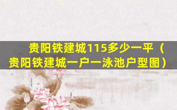 贵阳铁建城115多少一平（贵阳铁建城一户一泳池户型图）