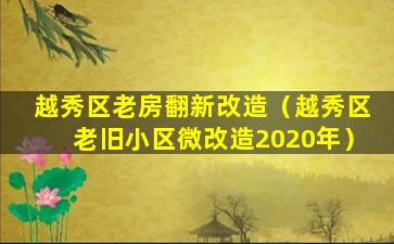 越秀区老房翻新改造（越秀区老旧小区微改造2020年）