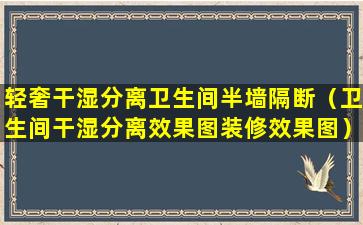 轻奢干湿分离卫生间半墙隔断（卫生间干湿分离效果图装修效果图）