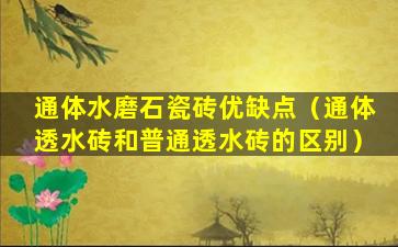 通体水磨石瓷砖优缺点（通体透水砖和普通透水砖的区别）