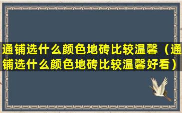 通铺选什么颜色地砖比较温馨（通铺选什么颜色地砖比较温馨好看）