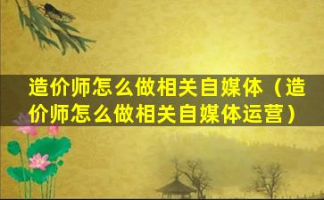 造价师怎么做相关自媒体（造价师怎么做相关自媒体运营）