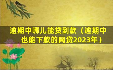 逾期中哪儿能贷到款（逾期中也能下款的网贷2023年）