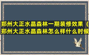 郑州大正水晶森林一期装修效果（郑州大正水晶森林怎么样什么时候交房）