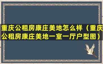 重庆公租房康庄美地怎么样（重庆公租房康庄美地一室一厅户型图）