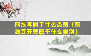 铜线耳属于什么类别（铜线耳开票属于什么类别）