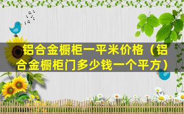 铝合金橱柜一平米价格（铝合金橱柜门多少钱一个平方）