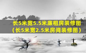 长5米宽5.5米廉租房装修图（长5米宽2.5米房间装修图）