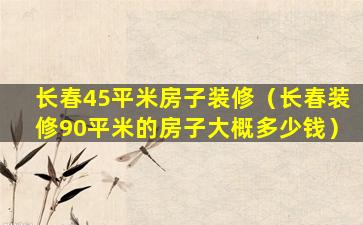 长春45平米房子装修（长春装修90平米的房子大概多少钱）