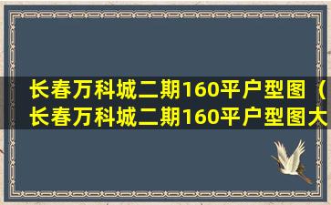 长春万科城二期160平户型图（长春万科城二期160平户型图大全）