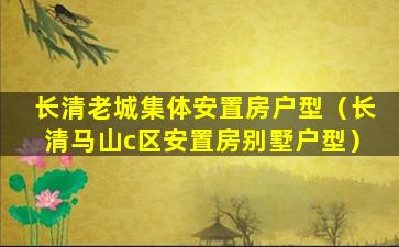 长清老城集体安置房户型（长清马山c区安置房别墅户型）