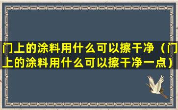 门上的涂料用什么可以擦干净（门上的涂料用什么可以擦干净一点）