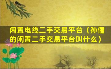 闲置电线二手交易平台（孙俪的闲置二手交易平台叫什么）