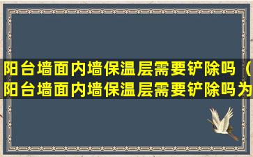 阳台墙面内墙保温层需要铲除吗（阳台墙面内墙保温层需要铲除吗为什么）