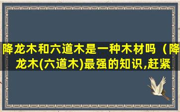 降龙木和六道木是一种木材吗（降龙木(六道木)最强的知识,赶紧收藏!）