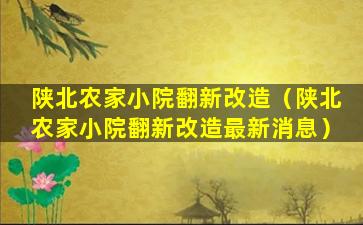 陕北农家小院翻新改造（陕北农家小院翻新改造最新消息）