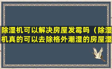 除湿机可以解决房屋发霉吗（除湿机真的可以去除格外潮湿的房屋湿气吗）