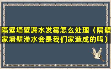 隔壁墙壁漏水发霉怎么处理（隔壁家墙壁渗水会是我们家造成的吗）