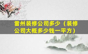 雷州装修公司多少（装修公司大概多少钱一平方）