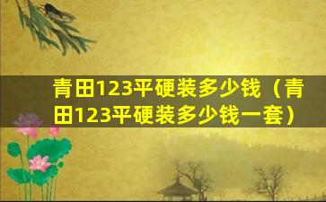 青田123平硬装多少钱（青田123平硬装多少钱一套）