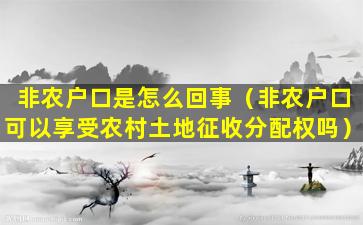 非农户口是怎么回事（非农户口可以享受农村土地征收分配权吗）