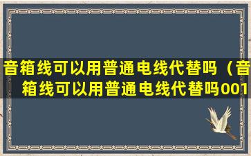 音箱线可以用普通电线代替吗（音箱线可以用普通电线代替吗001音响论坛）