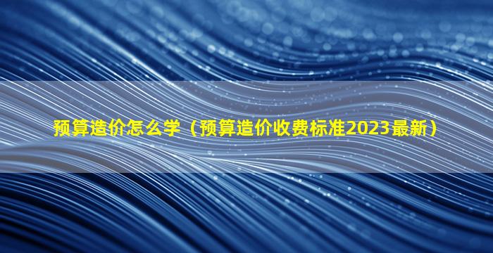 预算造价怎么学（预算造价收费标准2023最新）