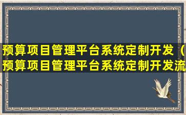 预算项目管理平台系统定制开发（预算项目管理平台系统定制开发流程图）