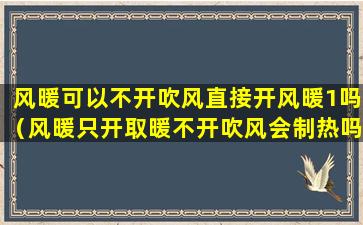 风暖可以不开吹风直接开风暖1吗（风暖只开取暖不开吹风会制热吗）