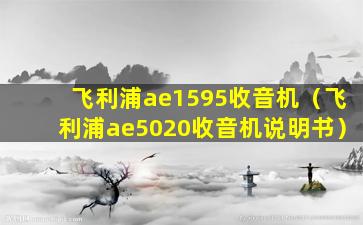 飞利浦ae1595收音机（飞利浦ae5020收音机说明书）