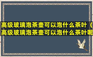 高级玻璃泡茶壶可以泡什么茶叶（高级玻璃泡茶壶可以泡什么茶叶呢）