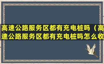 高速公路服务区都有充电桩吗（高速公路服务区都有充电桩吗怎么收费）