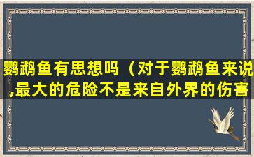 鹦鹉鱼有思想吗（对于鹦鹉鱼来说,最大的危险不是来自外界的伤害）