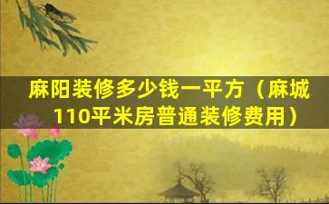 麻阳装修多少钱一平方（麻城110平米房普通装修费用）