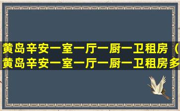 黄岛辛安一室一厅一厨一卫租房（黄岛辛安一室一厅一厨一卫租房多少钱）