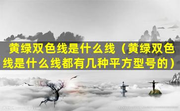 黄绿双色线是什么线（黄绿双色线是什么线都有几种平方型号的）